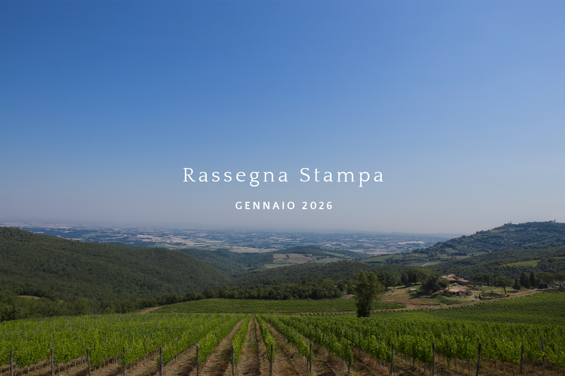 Rassegna stampa Carpineto &mdash; Gennaio 2026
